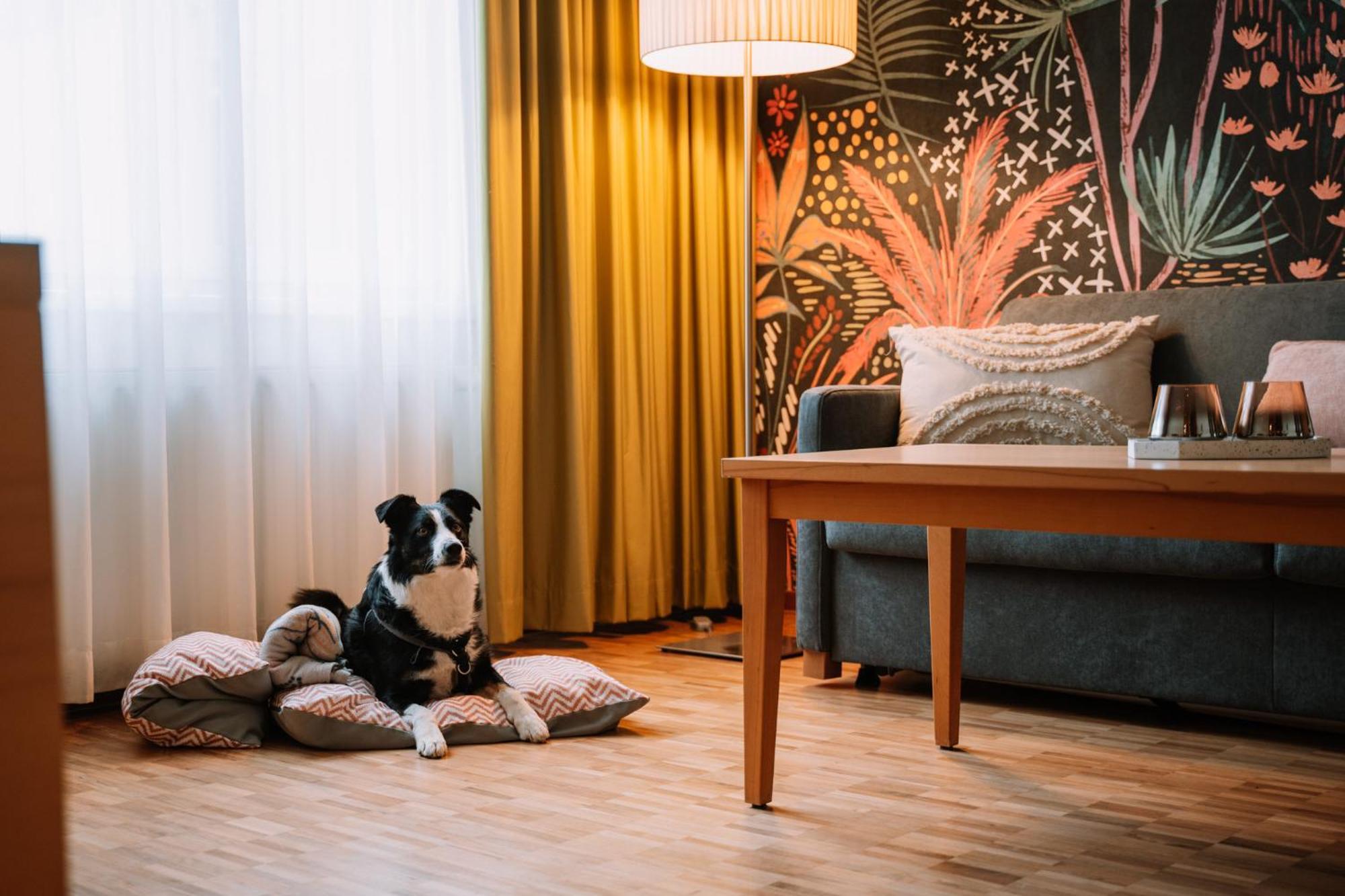 Hotel Auszeit St Lambrecht Sankt Lambrecht Zewnętrze zdjęcie